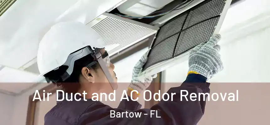 Air Duct and AC Odor Removal Bartow - FL