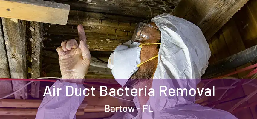 Air Duct Bacteria Removal Bartow - FL