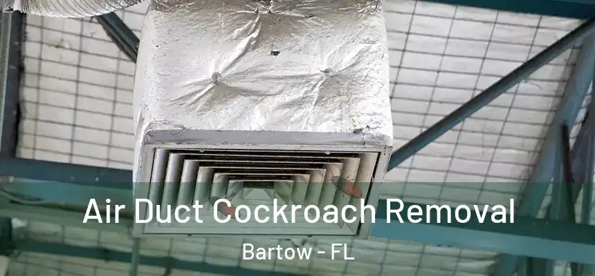  Air Duct Cockroach Removal Bartow - FL