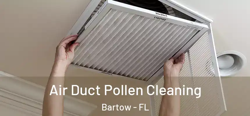 Air Duct Pollen Cleaning Bartow - FL