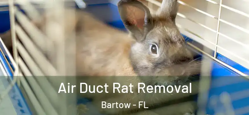 Air Duct Rat Removal Bartow - FL