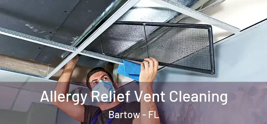 Allergy Relief Vent Cleaning Bartow - FL