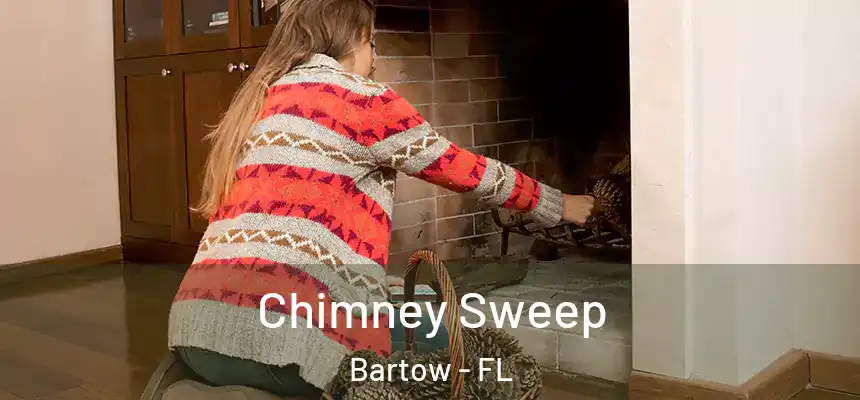 Chimney Sweep Bartow - FL