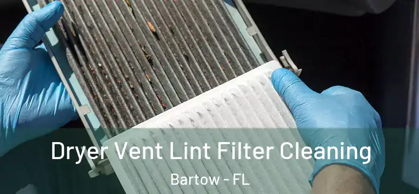 Dryer Vent Lint Filter Cleaning Bartow - FL
