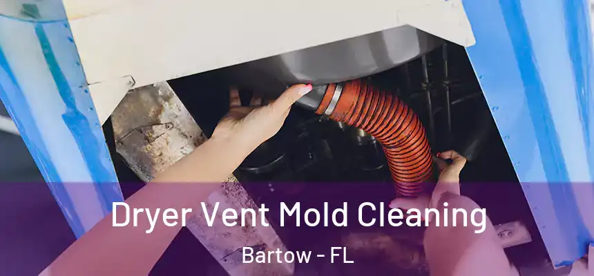 Dryer Vent Mold Cleaning Bartow - FL
