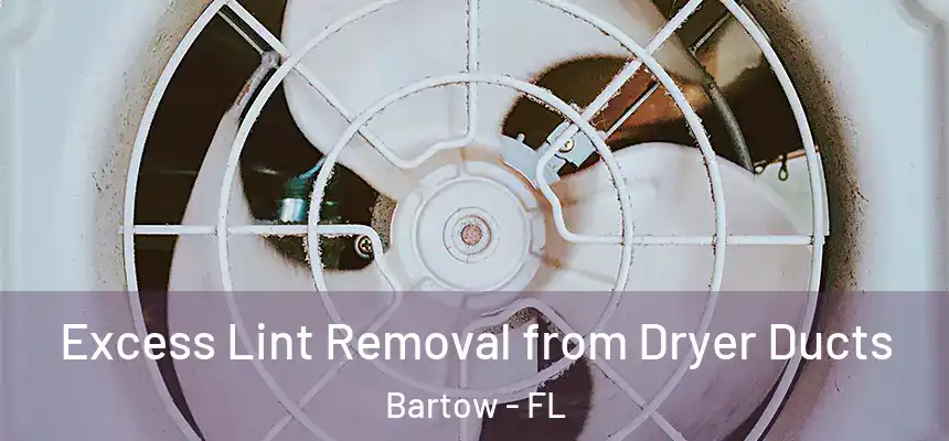 Excess Lint Removal from Dryer Ducts Bartow - FL