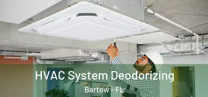  HVAC System Deodorizing Bartow - FL