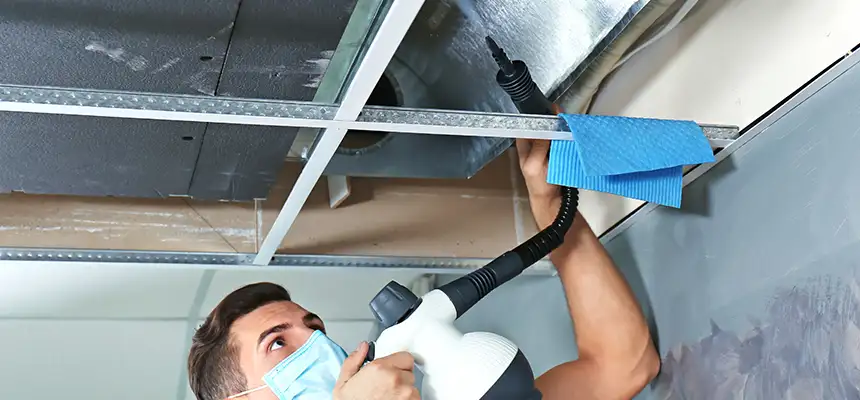 Our Air Duct Rodent Removal Services in Bartow, FL