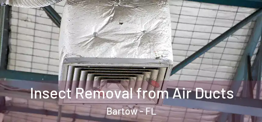 Insect Removal from Air Ducts Bartow - FL