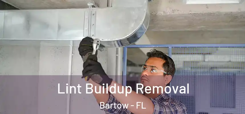 Lint Buildup Removal Bartow - FL