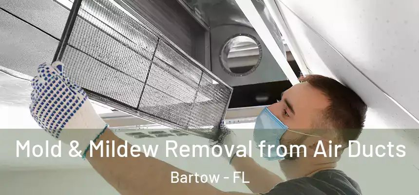 Mold & Mildew Removal from Air Ducts Bartow - FL