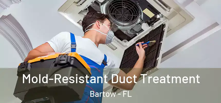  Mold-Resistant Duct Treatment Bartow - FL
