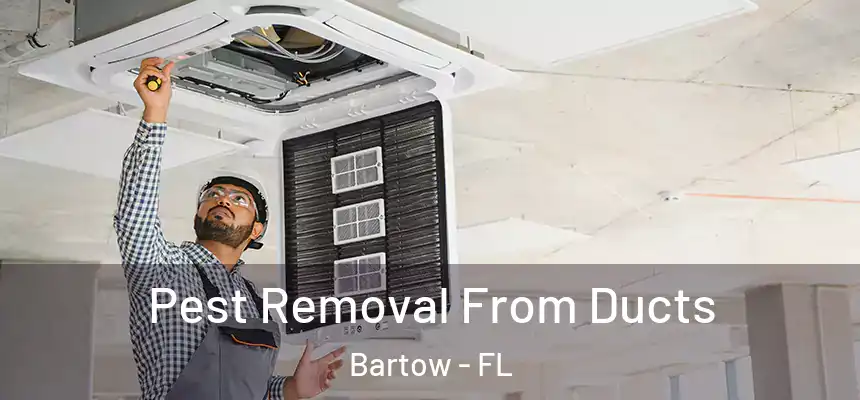 Pest Removal From Ducts Bartow - FL