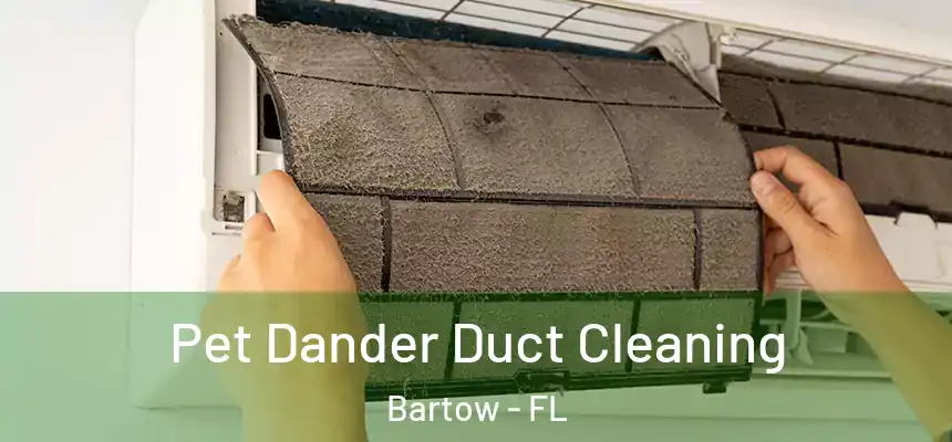 Pet Dander Duct Cleaning Bartow - FL