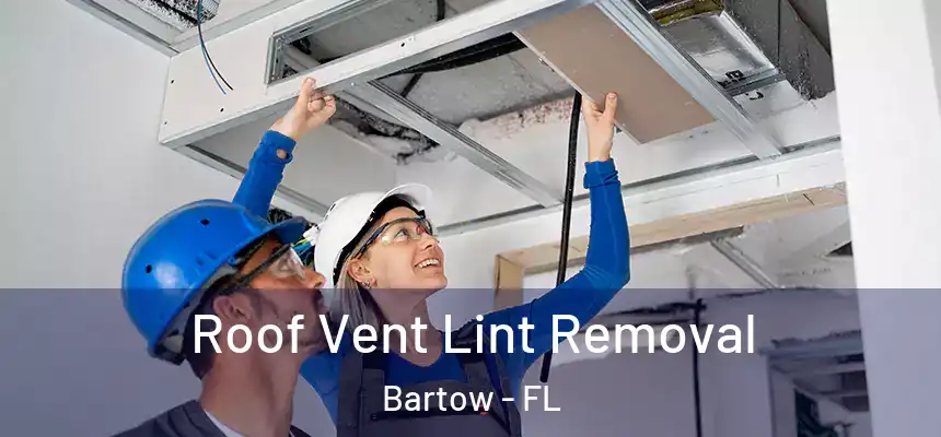 Roof Vent Lint Removal Bartow - FL