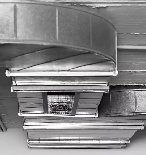 Professional Air Duct Pet Hair Removal in Bartow, FL