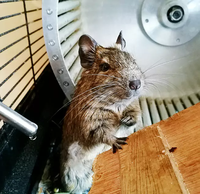 Why Homeowners & Businesses Trust Us Bartow, FL