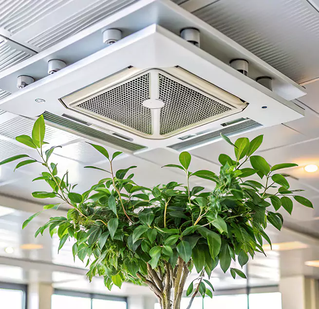 Why Homeowners & Businesses Trust Us in Bartow, FL?