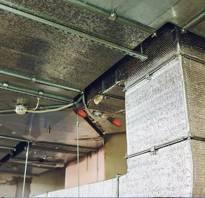 Why Homeowners & Businesses Trust Us Bartow, FL?