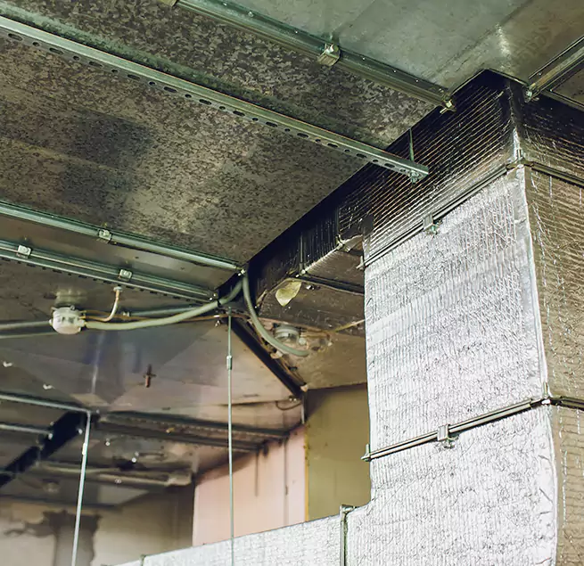 Why Homeowners & Businesses Trust Us in Bartow, FL?